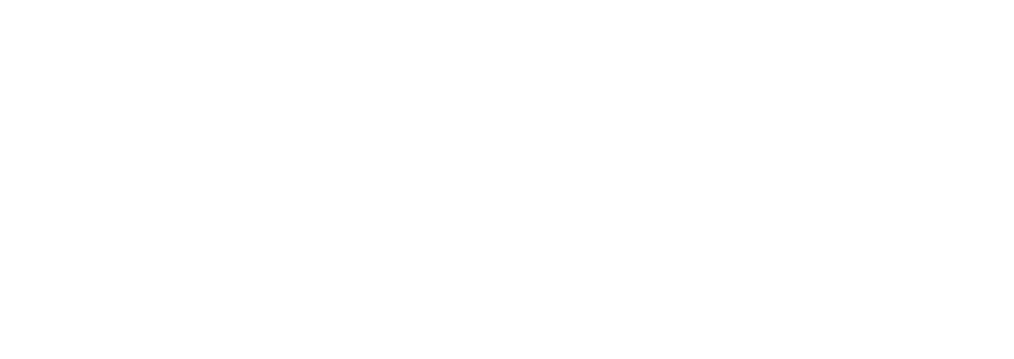 http://leicester-city-council